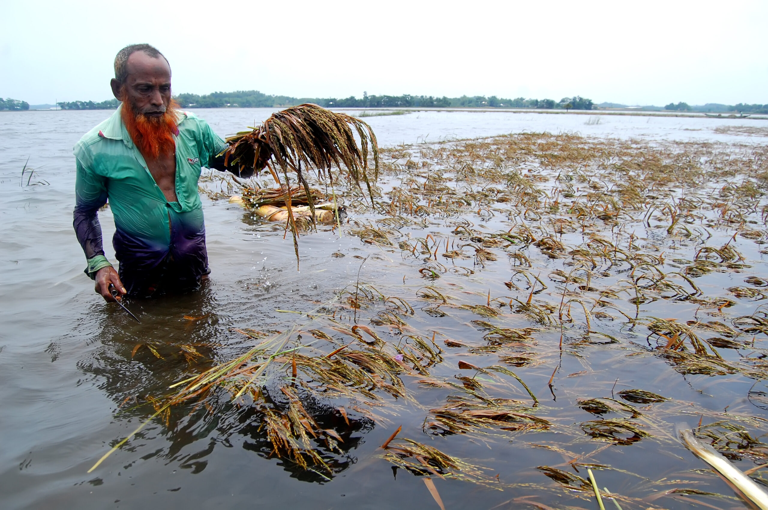 Piloting of Bay of Bengal cyclones and depression tracks and landfall for enhanced accuracy and improved lead time for disaster risk reduction in Nobo Jibon Program areas, Bangladesh